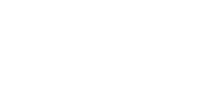 FOX Group Logo